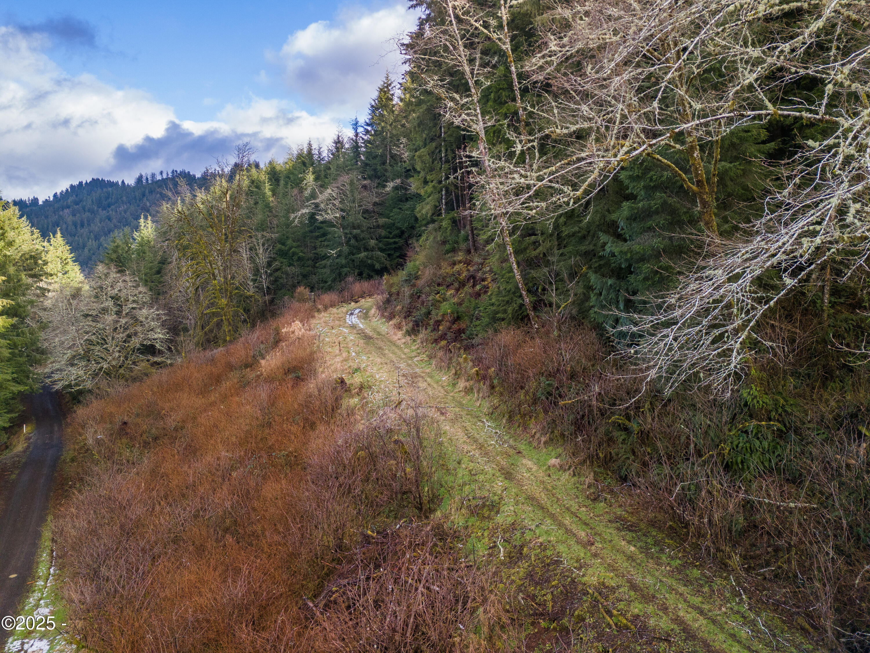 1500 Shiffman Road Nehalem, OR 97131 - Photo 13 of 15 DJI_20250209143642_0135_D