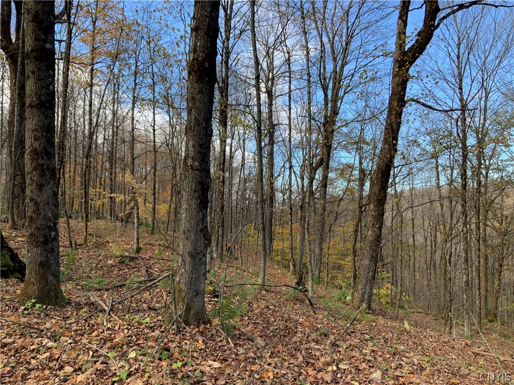 0 Diehl Road Mohawk, NY 13407 - Photo 19 of 49