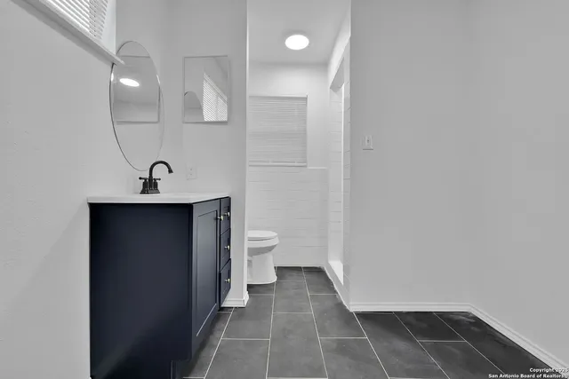 a bathroom with a sink and a toilet