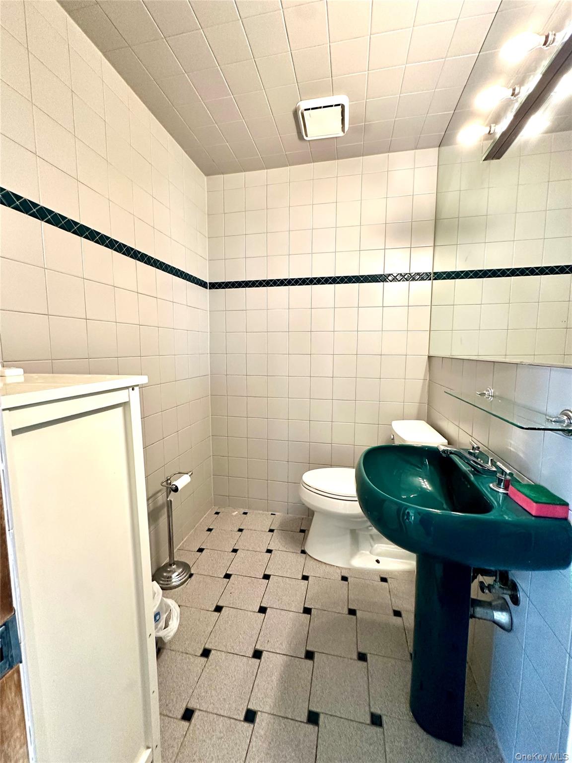 1027 Windermere Road Franklin Square, NY 11010 - Photo 39 of 43 a bathroom with a sink toilet and shower