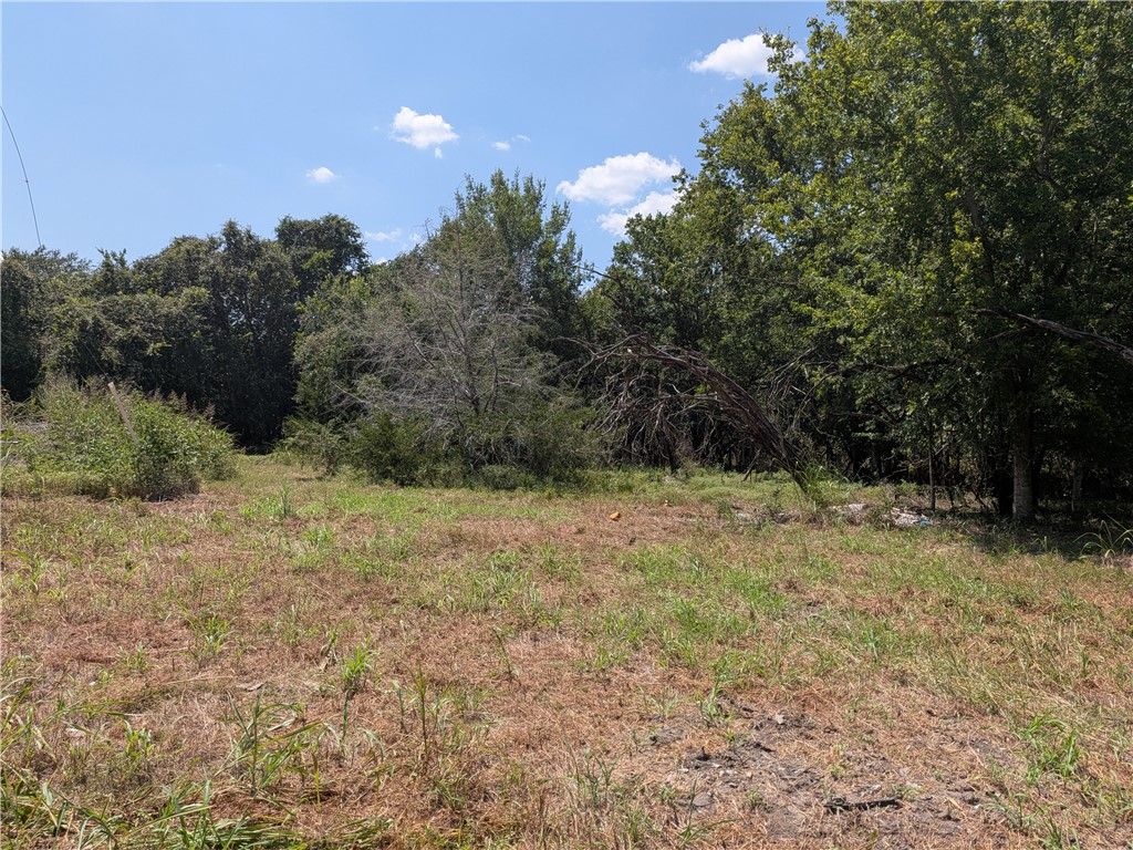 18320 Sweed Road Washington, TX 77880 - Photo 15 of 16 Gallery Image 15