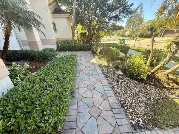 a view of a yard with plants and large trees