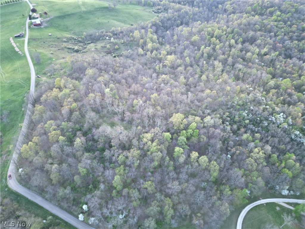 Zane Road Lore City, OH 43755 - Photo 4 of 13