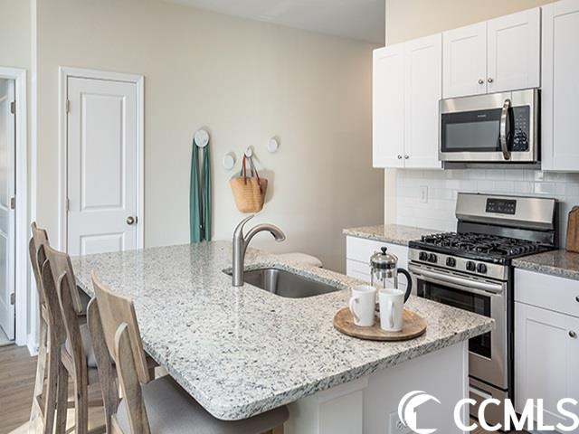 359 Fennec Loop Conway, SC 29526 - Photo 4 of 16 Gallery Image 4