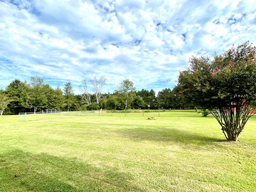 1724 Hopkins Road Ashford, AL 36312 - Photo 28 of 40