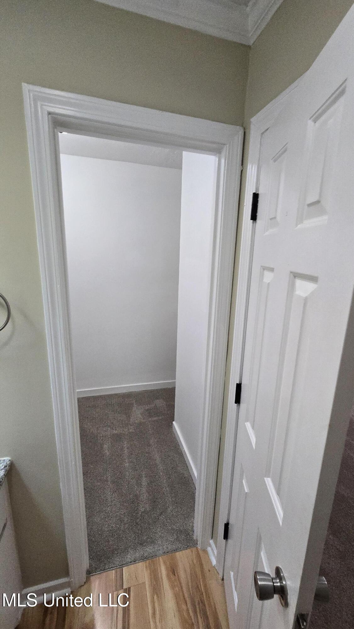 933 Glastonbury Circle, Unit A Ridgeland, MS 39157 - Photo 61 of 62 20250811_154220