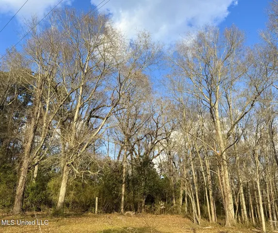 $153,000 | 1041 Van Norman, McComb, MS 39648