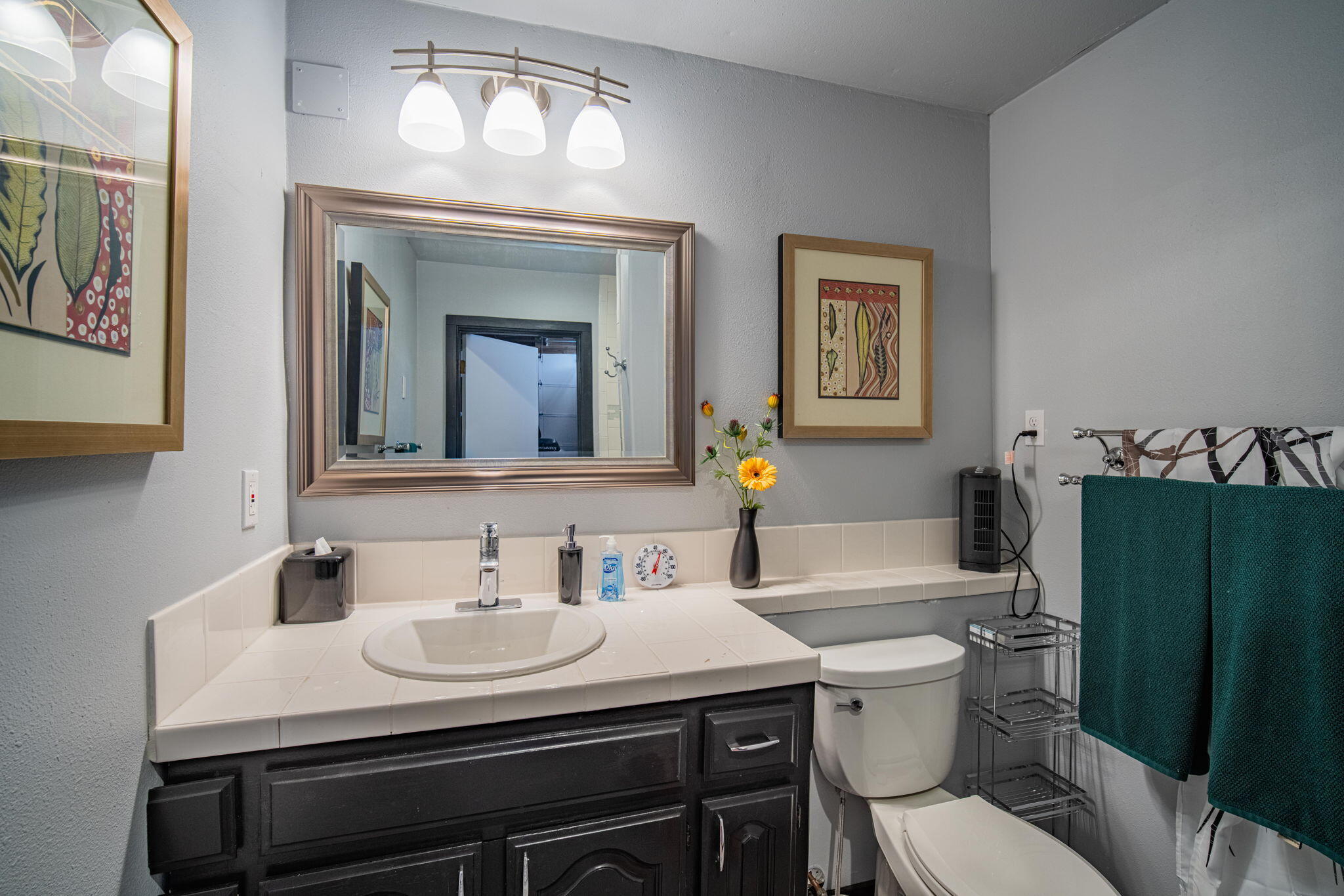 56019 Snow Goose Road Bend, OR 97707 - Photo 30 of 32 a bathroom with a sink toilet and a mirror