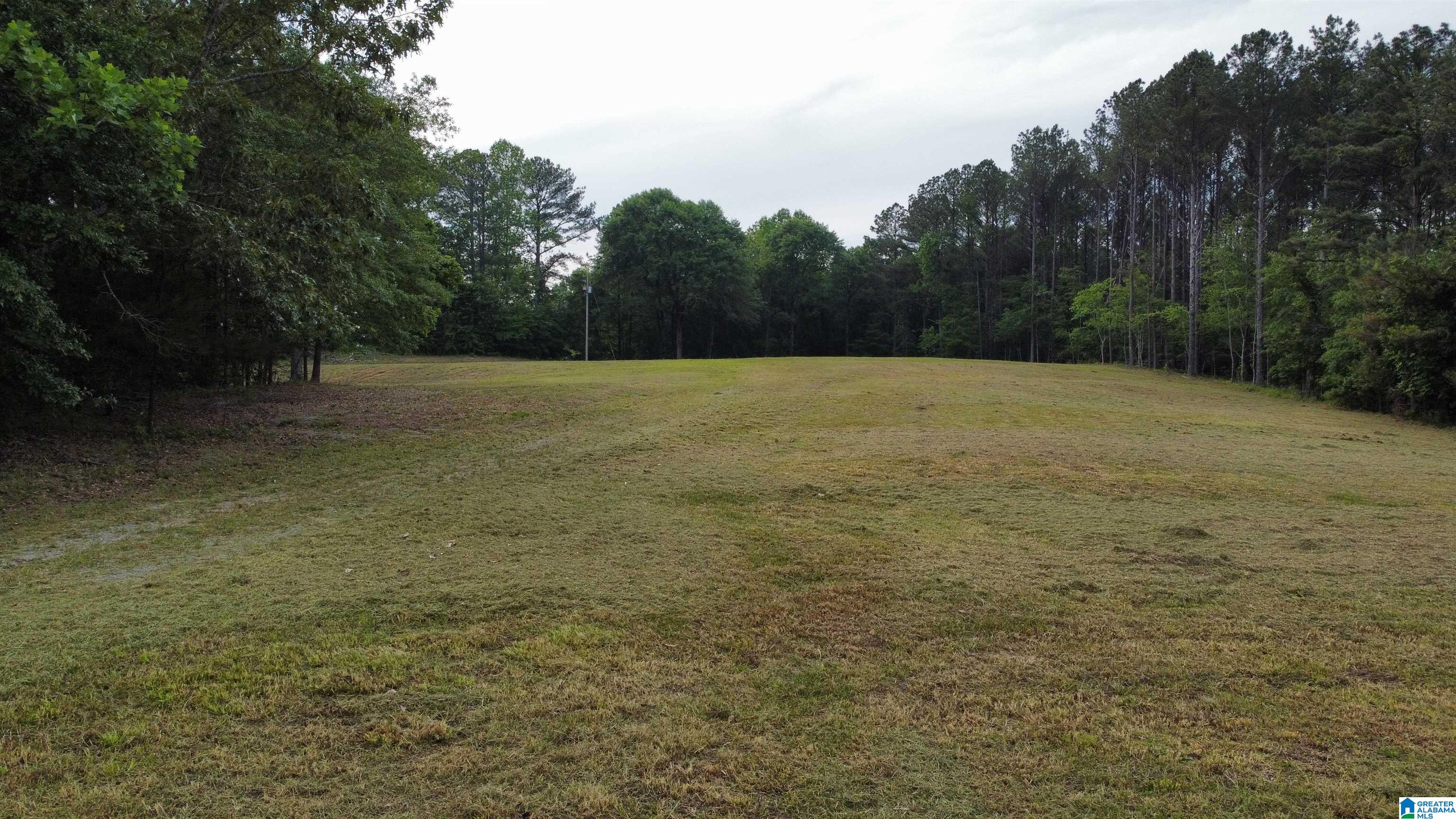 22909 Highway 195 Double Springs, AL 35553 - Photo 2 of 19