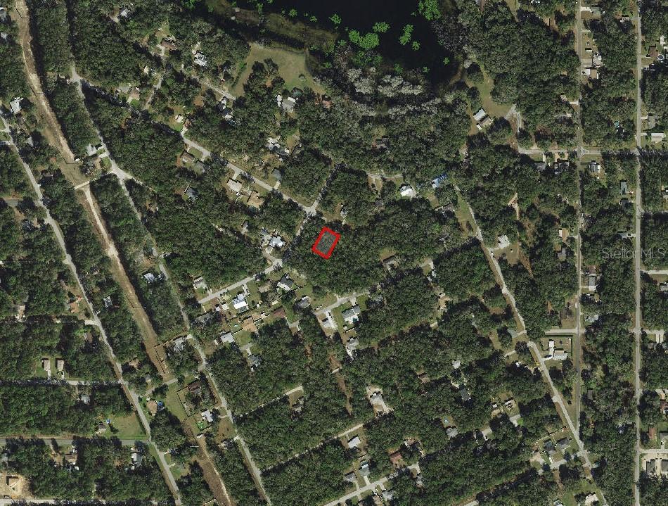 3582 East Lee Drive Inverness, FL 34453 - Photo 3 of 5 a view of a tree in a forest