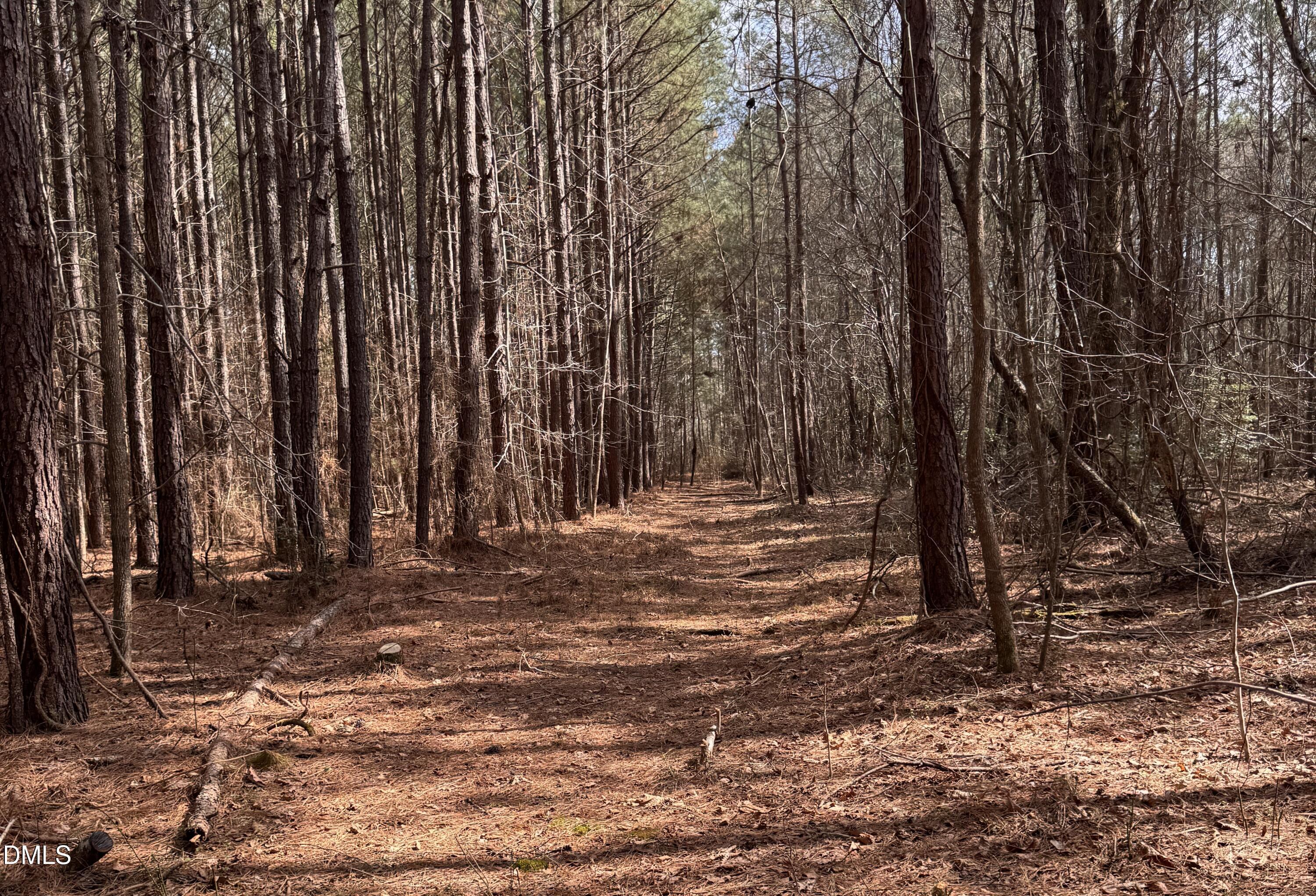 0 Loop Road Bunnlevel, NC 28323 - Photo 8 of 8 Land 9