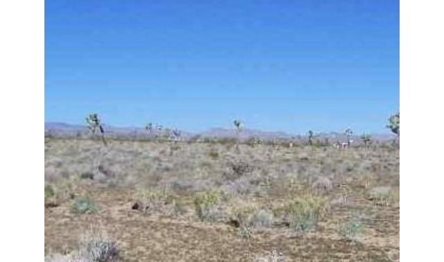 0 El Rey Joshua Tree, CA 00000 - Photo 1 of 1 Gallery Image 1