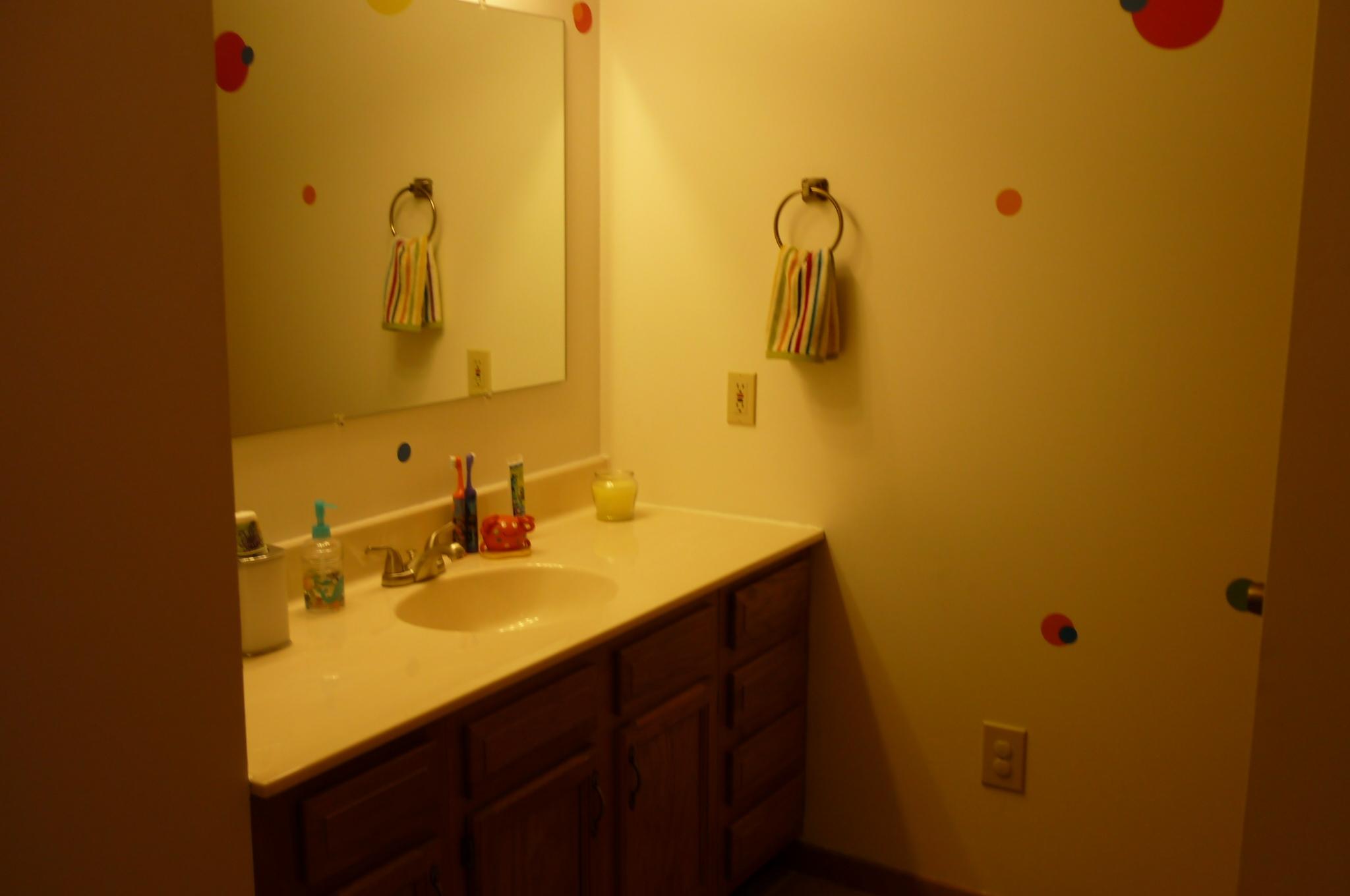 1208 Tater Valley Road Washburn, TN 37888 - Photo 11 of 20 Hall Bath