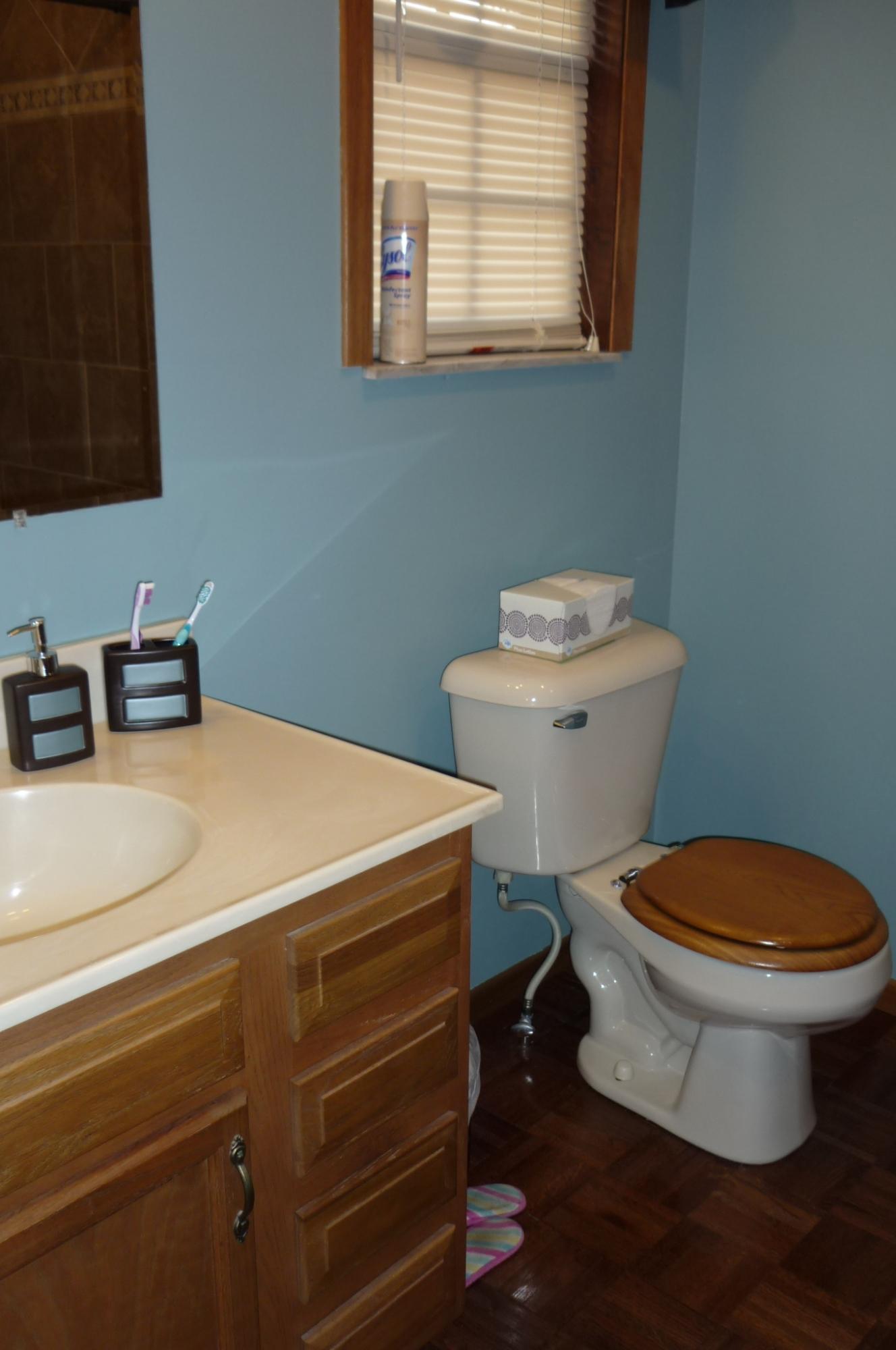 1208 Tater Valley Road Washburn, TN 37888 - Photo 18 of 20 Master Bath