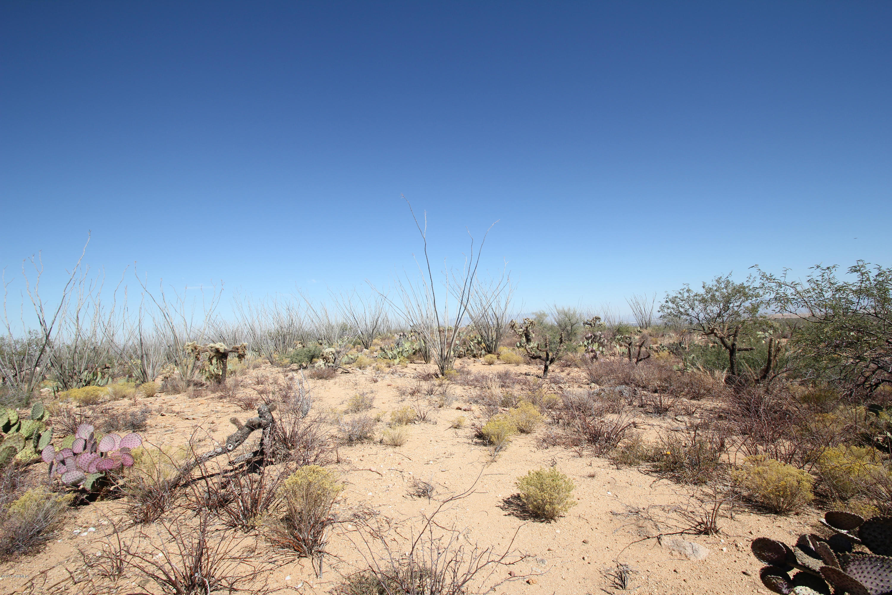 Pinto Road Sahuarita, AZ 85629 - Photo 6 of 17