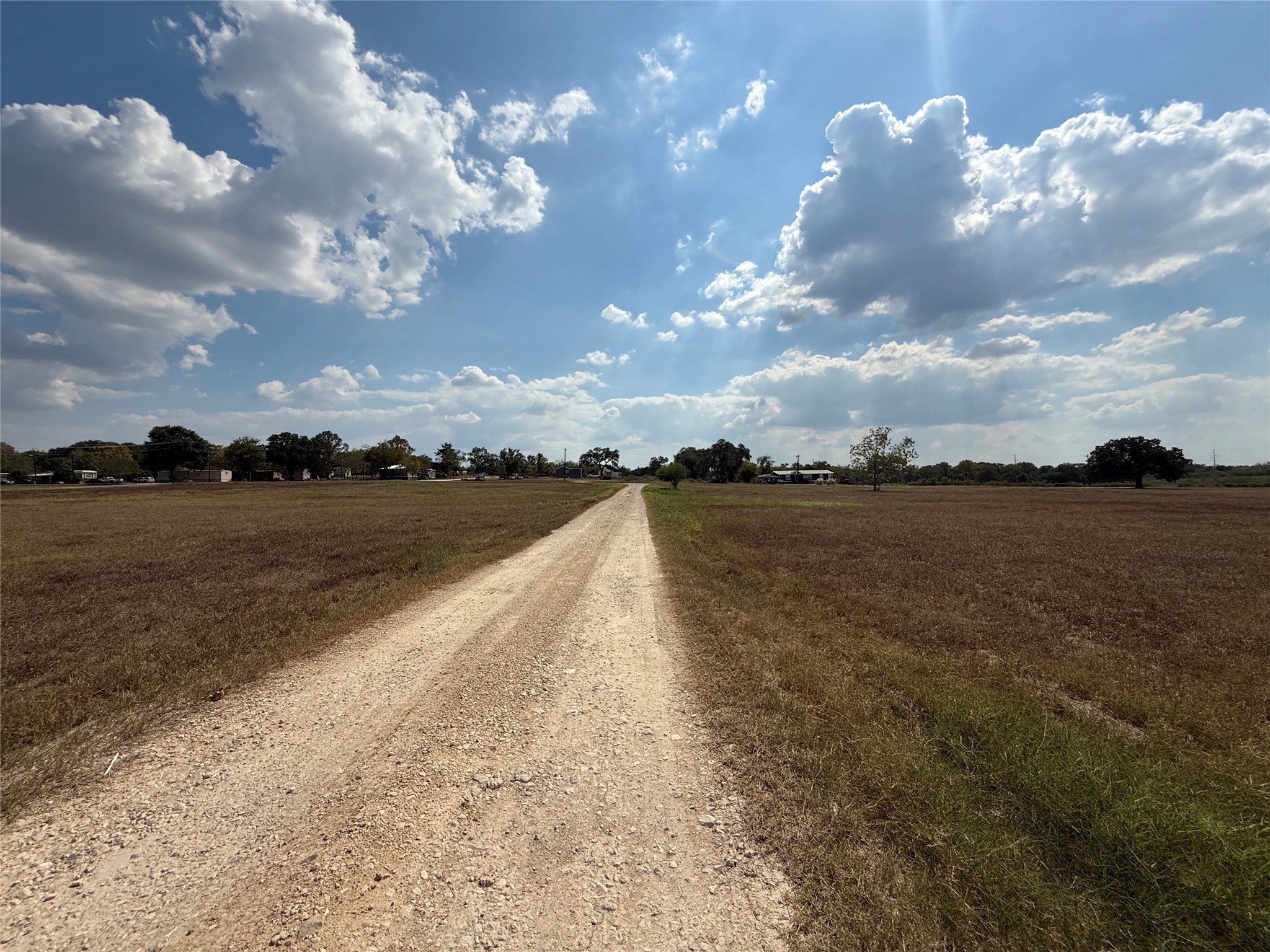 506 South Colorado Street Flatonia, TX 78941 - Photo 13 of 21 a view of a lake in middle of forest