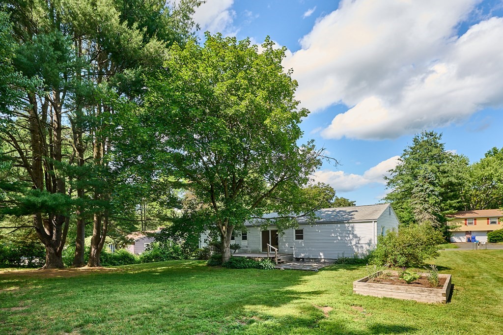 134 Tracy Circle Amherst, MA 01002 - Photo 21 of 37 a view of a house with a big yard and potted plants and large trees