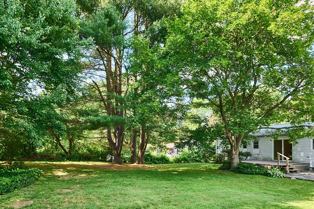 134 Tracy Circle Amherst, MA 01002 - Photo 25 of 37 a view of a couches in backyard of house