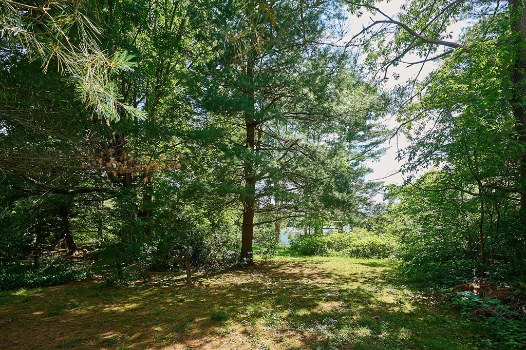 134 Tracy Circle Amherst, MA 01002 - Photo 26 of 37 a big yard with lots of green space and trees