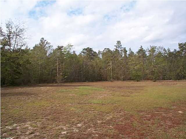 4794 Poplar Head Church Road Holt, FL 32564 - Photo 16 of 16 Additional Photo
