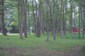 0 Fivemailboxes Road Long Pond, PA 18334 - Photo 7 of 9