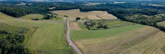 a view of a yard in front of a house