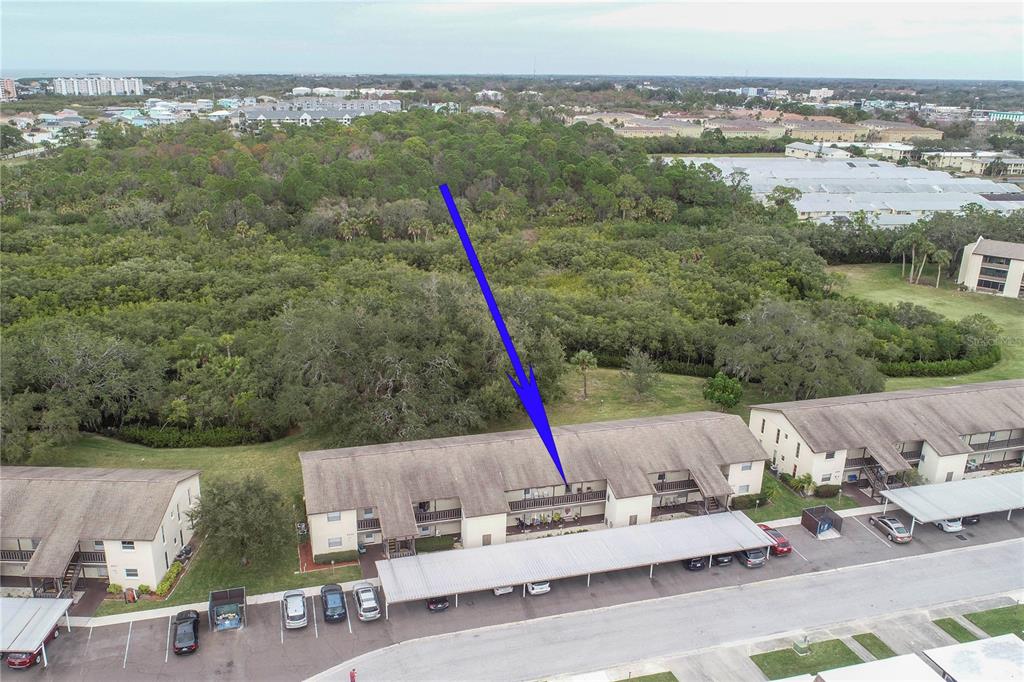 4829 Onyx Lane, Unit 204 New Port Richey, FL 34652 - Photo 1 of 1 a view of a terrace with couches
