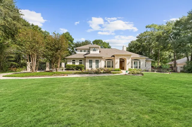 a view of a yard with plants and large trees