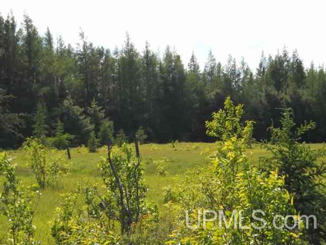 Tbd Missouri Rd - Co Rd 565, Unit LAT 46 31633 LON 87 5822 Gwinn, MI 49841 - Photo 24 of 30