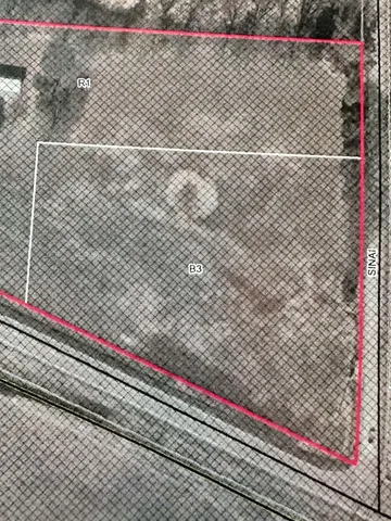 a close up of a yard