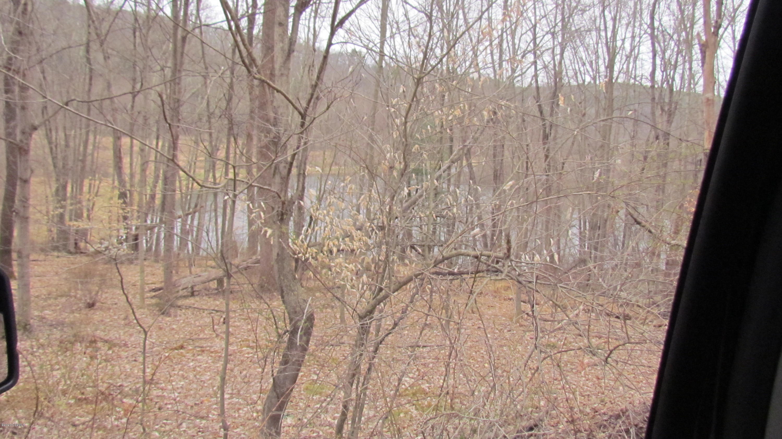 Mountain Rd Road Shickshinny, PA 18655 - Photo 26 of 27