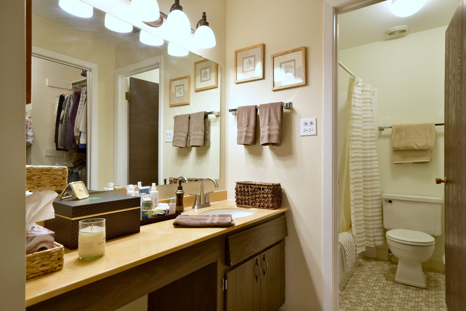 1652 Dover Court, Unit B Wheaton, IL 60189 - Photo 17 of 29 a bathroom with a sink a toilet and mirror