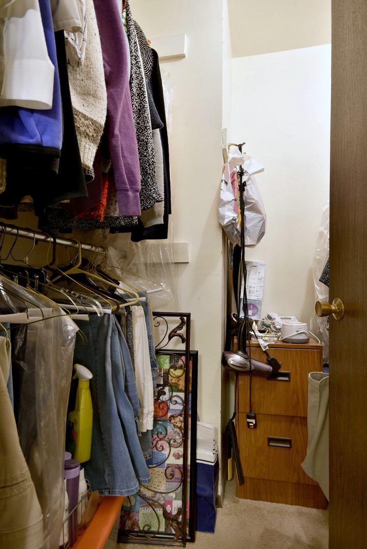 1652 Dover Court, Unit B Wheaton, IL 60189 - Photo 20 of 29 a view of walk in closet with clothes and shoes