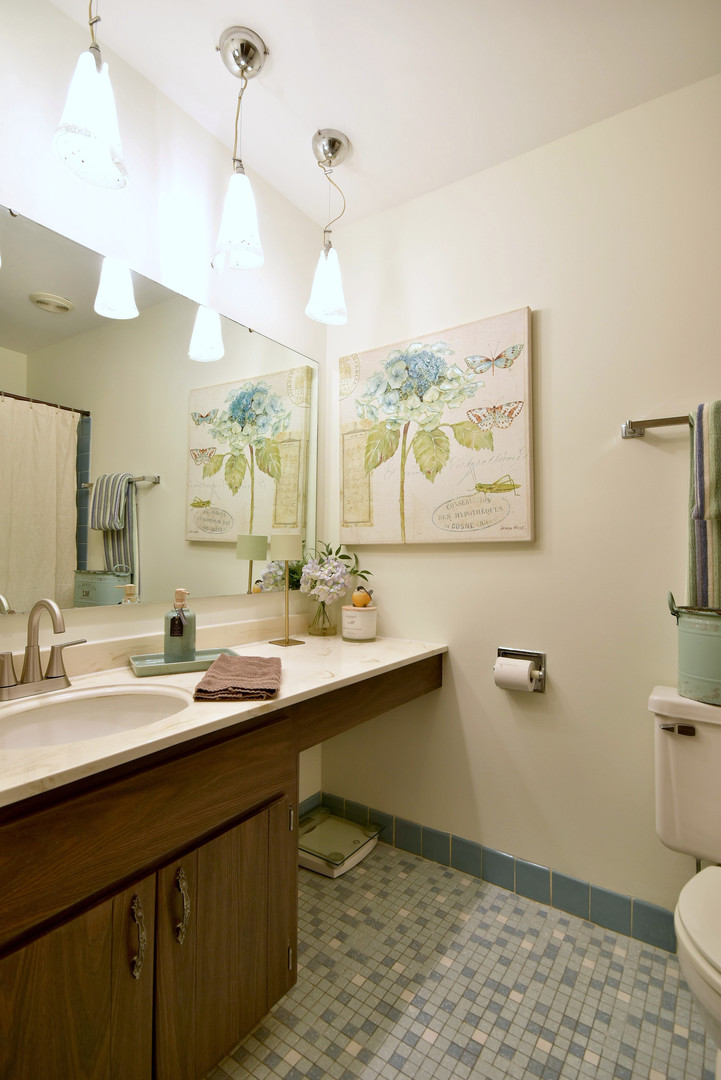 1652 Dover Court, Unit B Wheaton, IL 60189 - Photo 22 of 29 a bathroom with a sink and a mirror