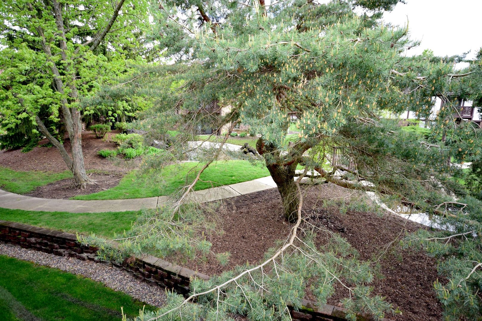 1652 Dover Court, Unit B Wheaton, IL 60189 - Photo 27 of 29 a view of a backyard