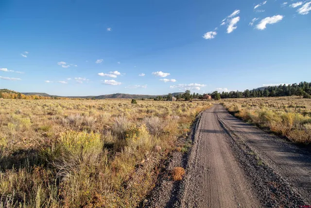 a view of ocean and trees