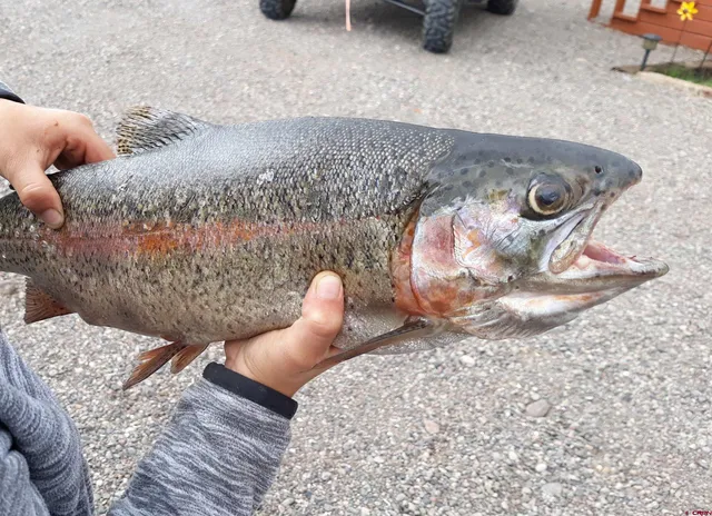 $42,000 | 19 Vista Del Rio Conejos Co 81120, Antonito, CO 81120