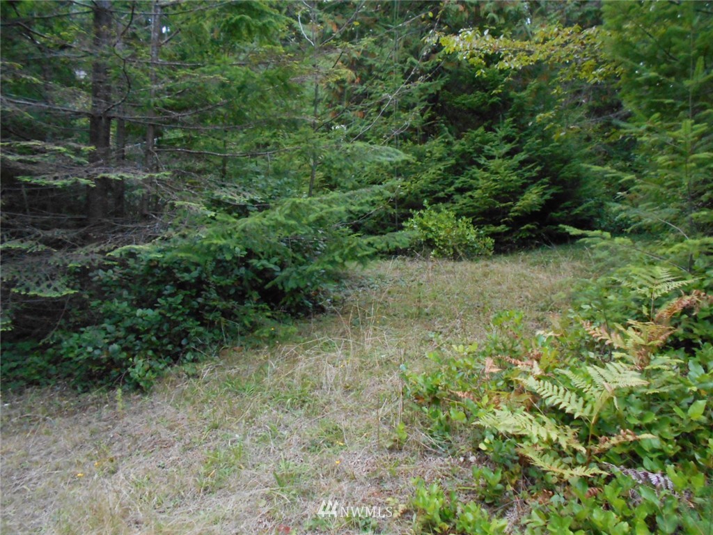 0 Point View Avenue Brinnon, WA 98320 - Photo 1 of 10 Gallery Image 1