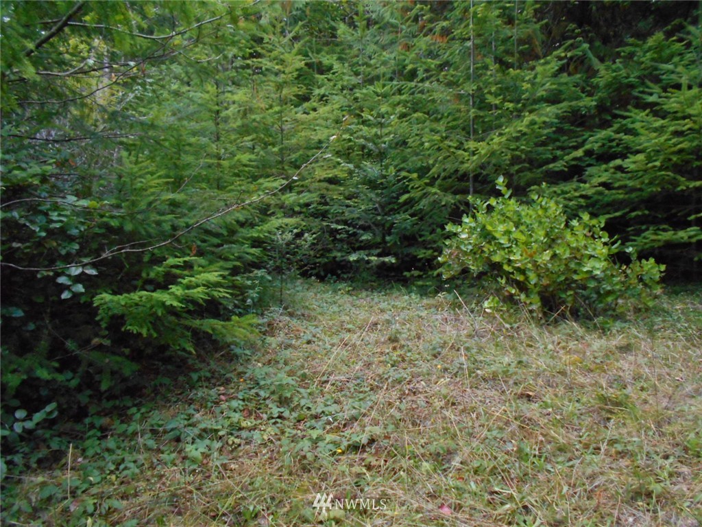 0 Point View Avenue Brinnon, WA 98320 - Photo 2 of 10 Gallery Image 2
