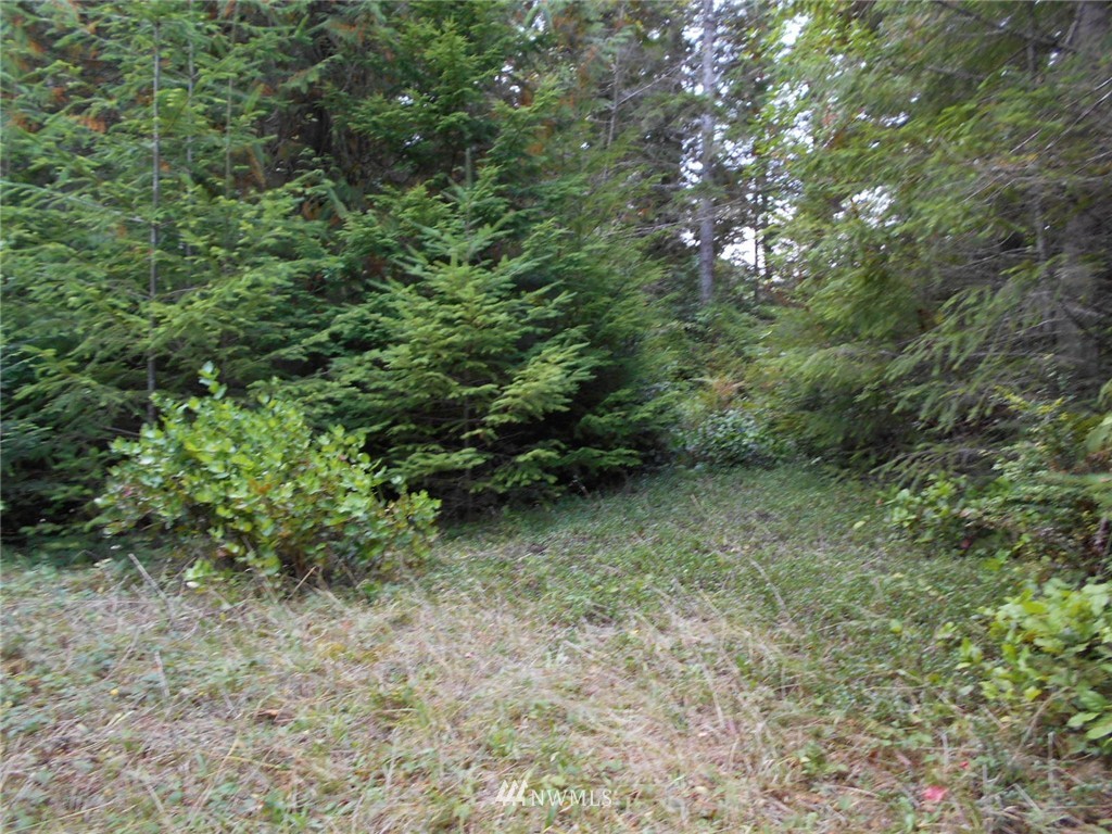 0 Point View Avenue Brinnon, WA 98320 - Photo 5 of 10 Gallery Image 5