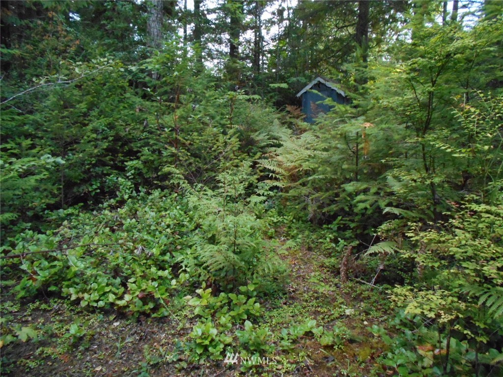 0 Point View Avenue Brinnon, WA 98320 - Photo 6 of 10 Gallery Image 6