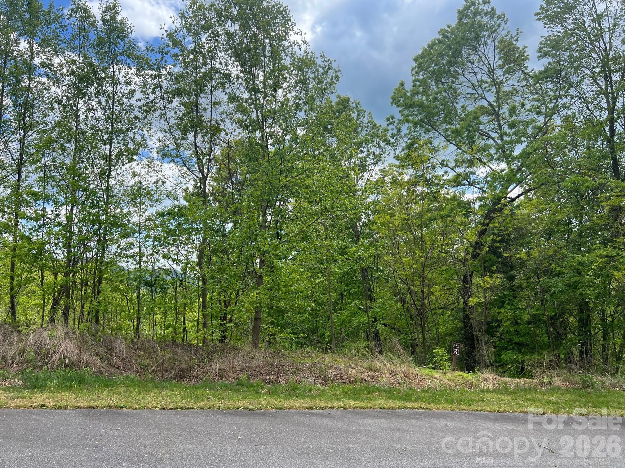 531 Roca Vista Drive Lenoir, NC 28645 - Photo 8 of 9