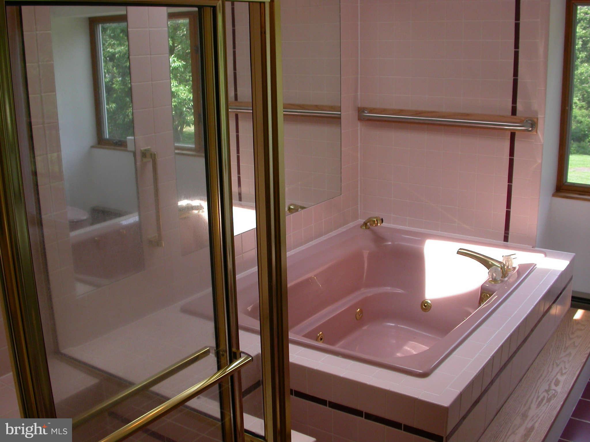 23706 Myrtle Point Road California, MD 20619 - Photo 18 of 30 Bath (Master)