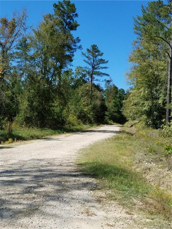 0 Old Edgefield Road, Unit G Saluda, SC 29138 - Photo 11 of 23