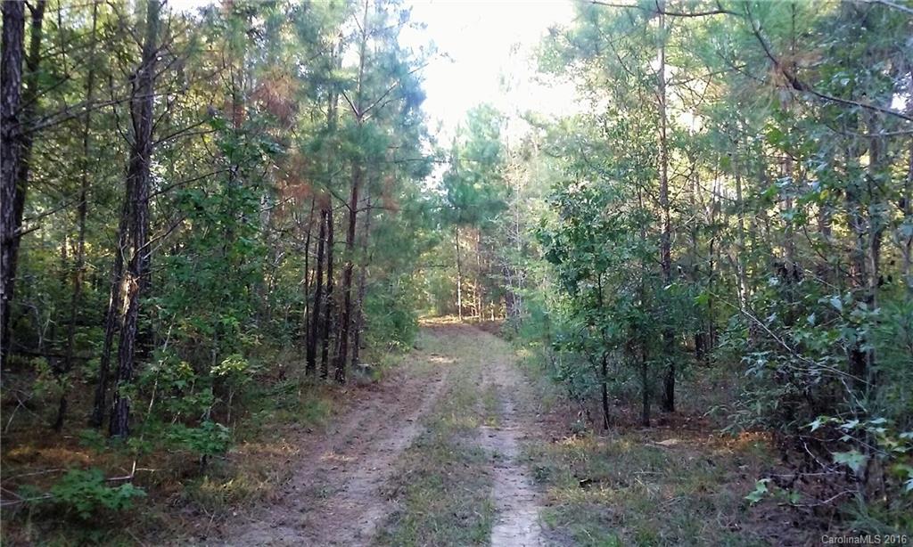 0 Old Edgefield Road, Unit G Saluda, SC 29138 - Photo 13 of 23