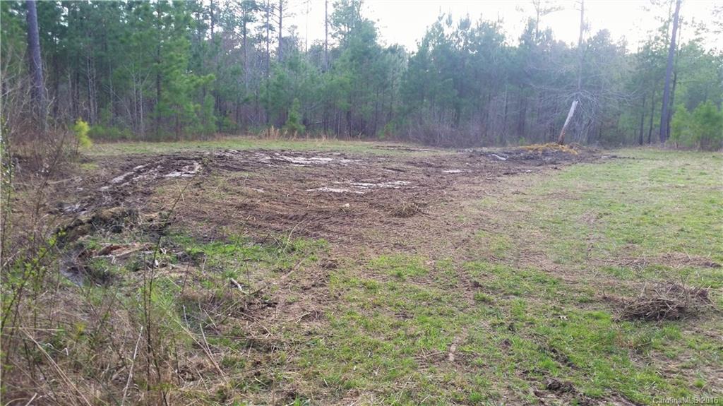0 Old Edgefield Road, Unit G Saluda, SC 29138 - Photo 18 of 23