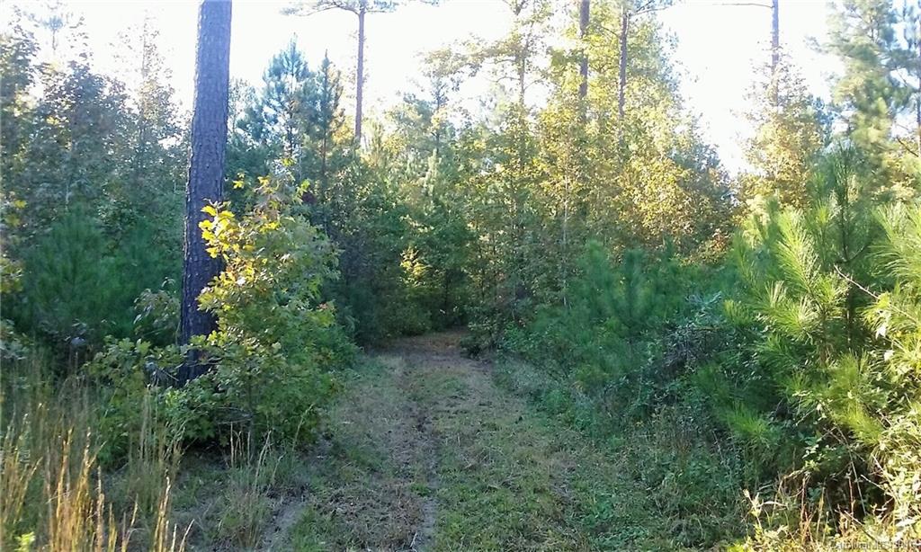 0 Old Edgefield Road, Unit G Saluda, SC 29138 - Photo 19 of 23