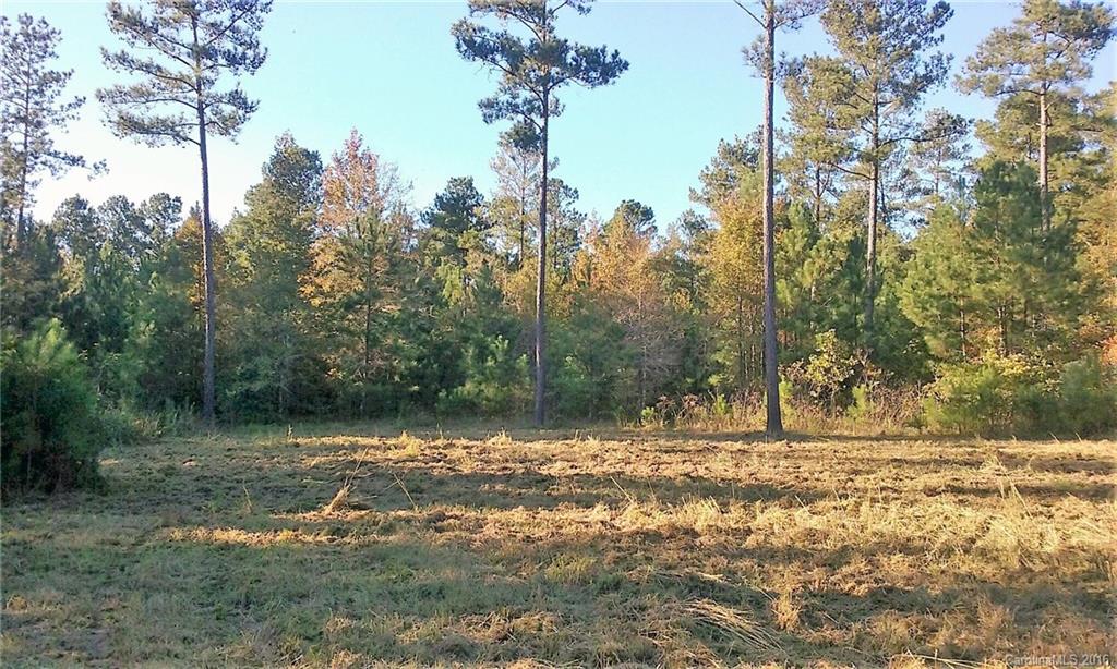 0 Old Edgefield Road, Unit G Saluda, SC 29138 - Photo 20 of 23