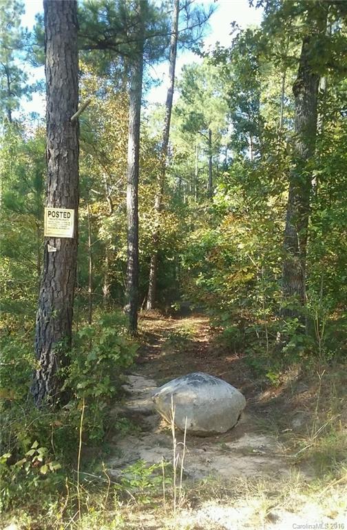 0 Old Edgefield Road, Unit G Saluda, SC 29138 - Photo 21 of 23