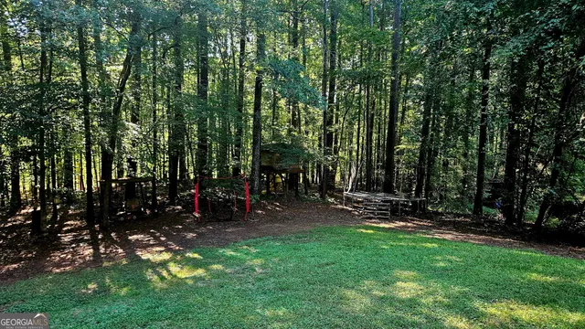 a view of a park with large trees